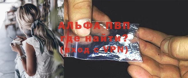 PSILOCYBIN Богданович