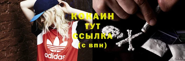 ECSTASY Богородск