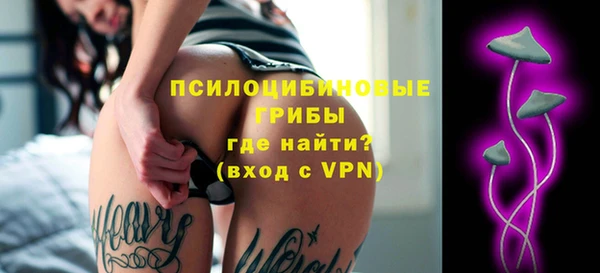 меф Бородино