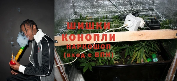 PSILOCYBIN Богданович