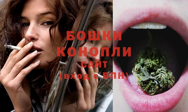 ECSTASY Богородск
