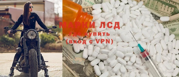 гидра Тында