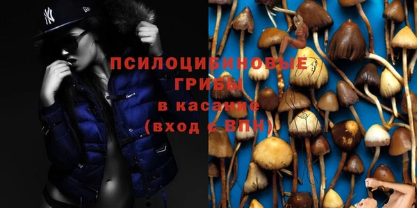 PSILOCYBIN Богданович